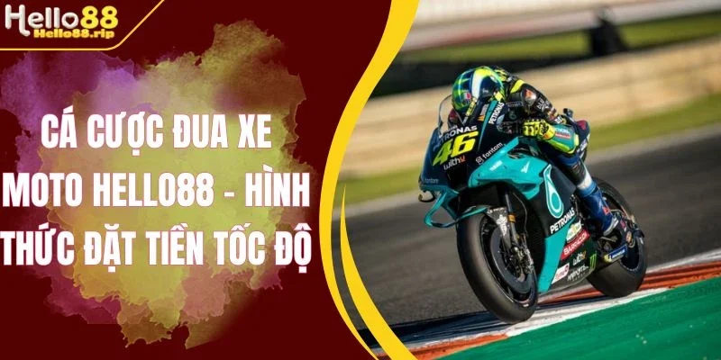 Cung cấp đa dạng giải mô tô hấp dẫn