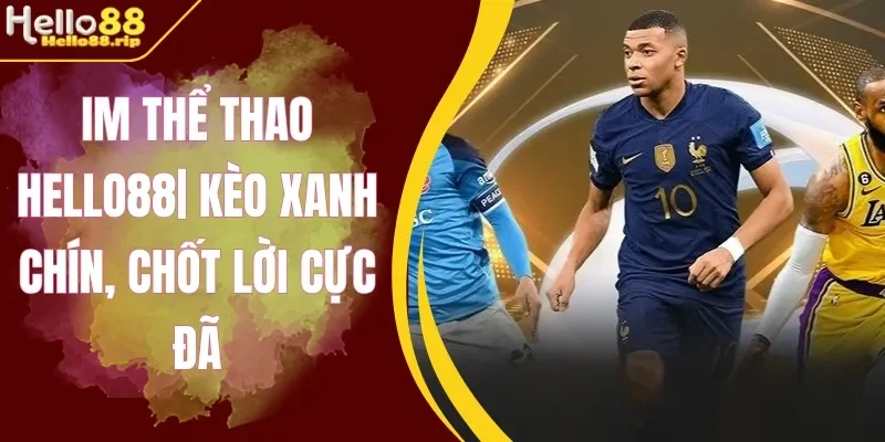 5 bộ môn cược thể thao IM Hello88 hấp dẫn