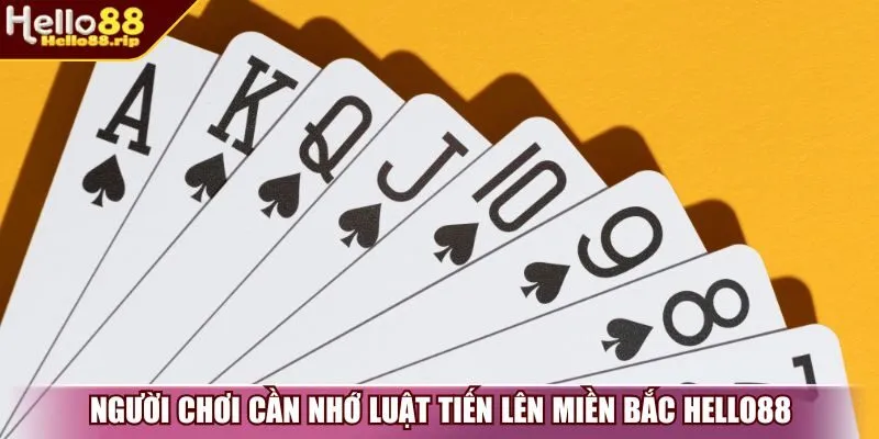 Người chơi cần nhớ luật tiến lên miền Bắc Hello88